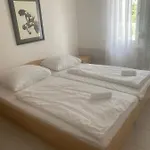 Apartamento Tepavac *